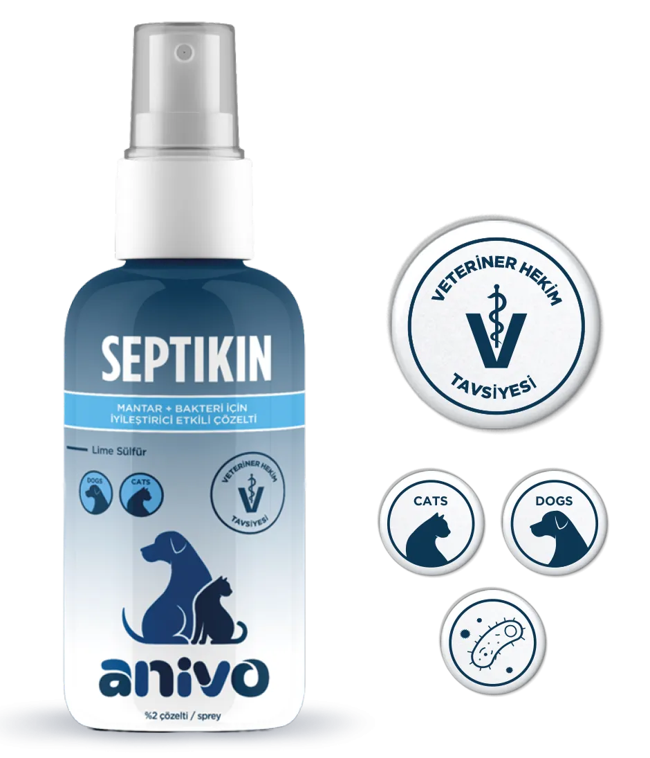 SEPTIKIN