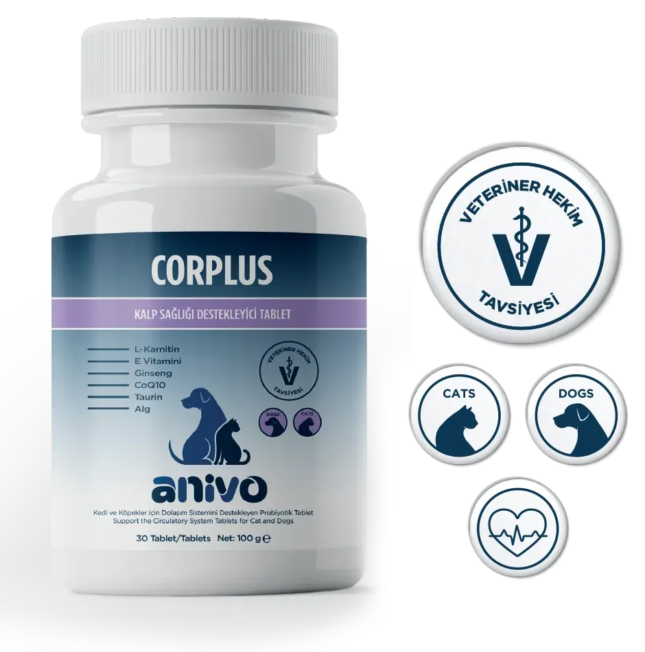 CORPLUS
