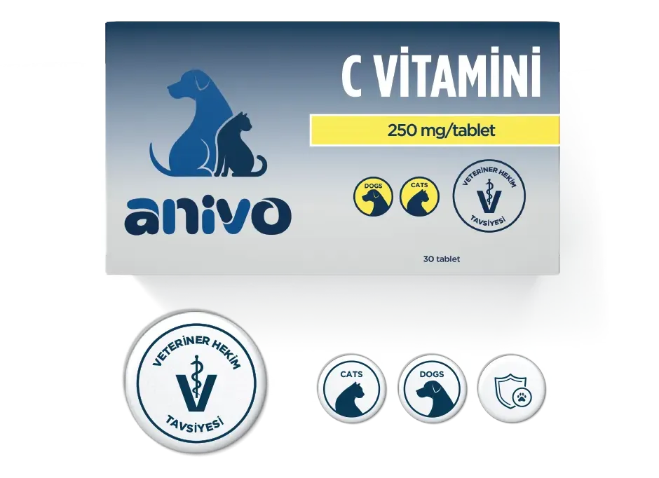 VİTAMİN C